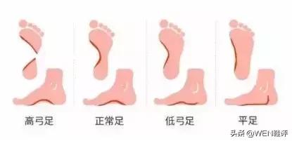 干货来了知识点有哪些,新手入门穿什么球鞋最好