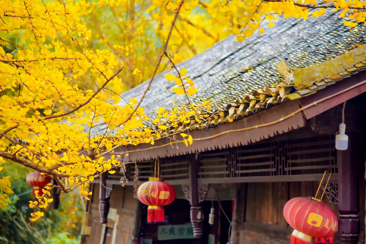 这才是夏天凉爽的地方,七里坪负氧离子全国第一避暑天堂