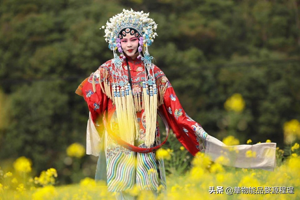 江西婺源油菜花音乐节,婺源油菜花文化节