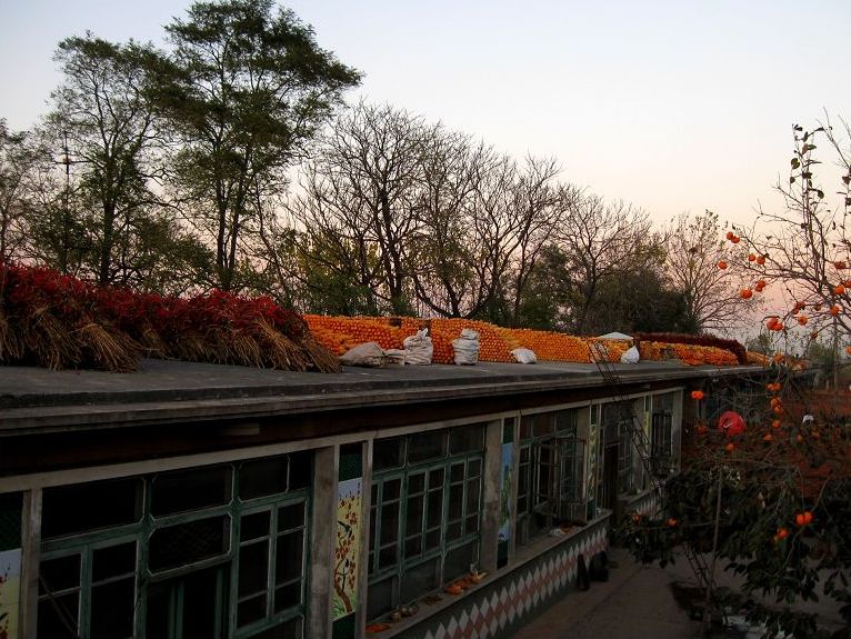 建国至今住房变化图片,中国民居的现代发展