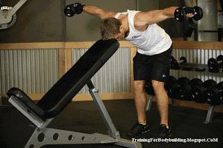 健身一周只能练两天怎么计划,一周健身计划加自由搏击如何安排