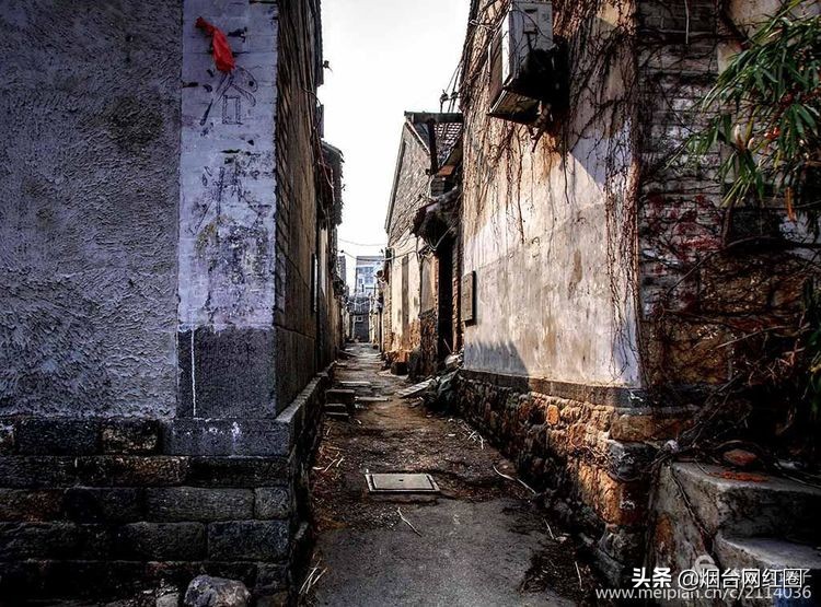 烟台所城里承载着多少回忆,烟台所城的来历