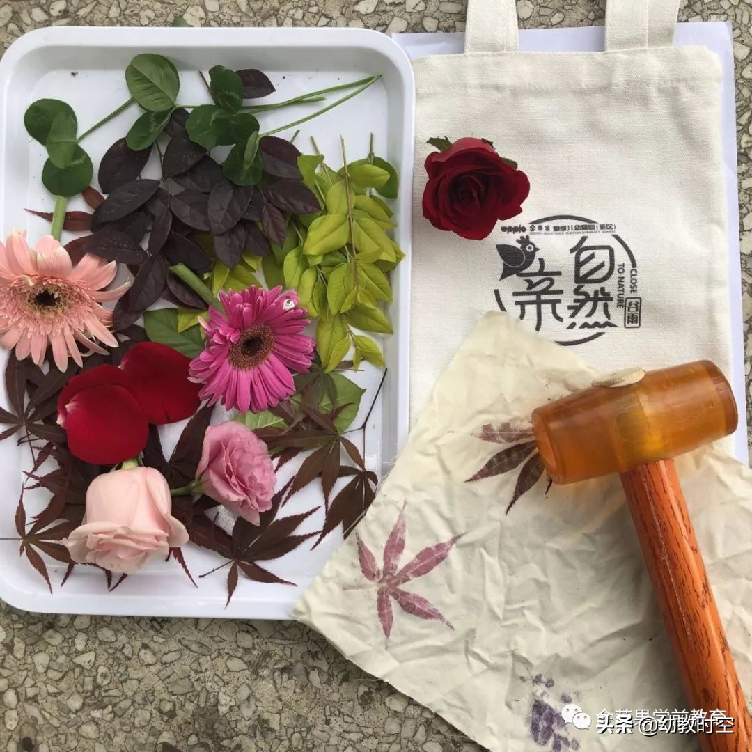 幼稚园思维训练,仪式感满满的幼儿园户外