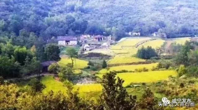 咸宁最古老的古村落,咸宁十大村庄