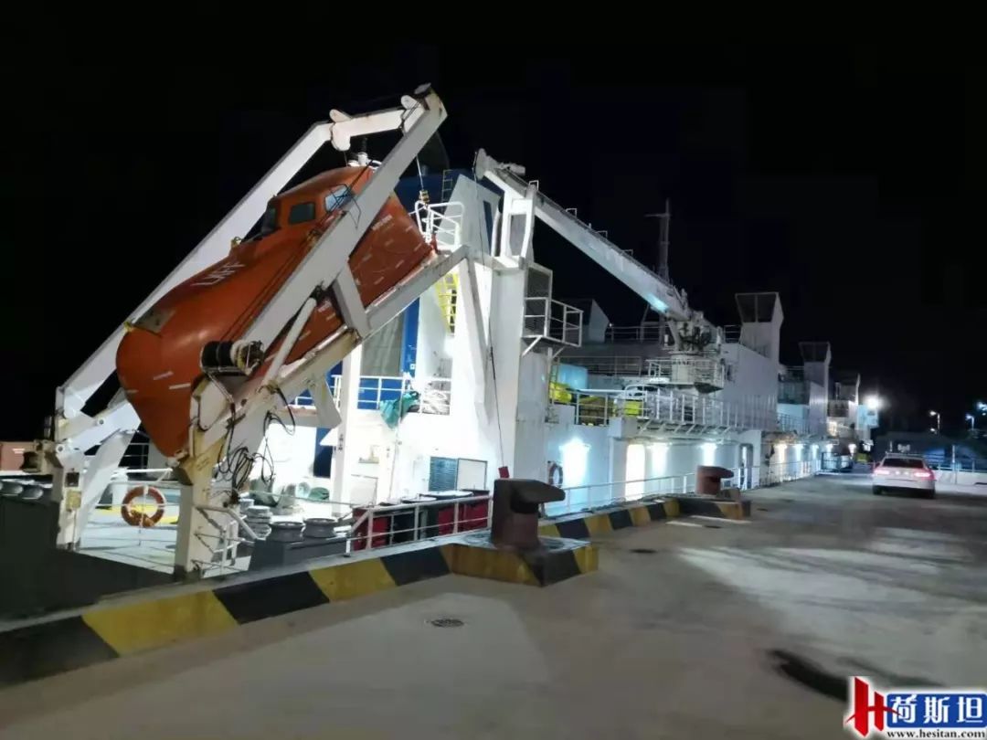 4000头新西兰牛抵达大丰港适合中国消费者的海福特肉牛强势来袭