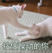 职业意外险要怎么买,意外险要怎么买比较合算