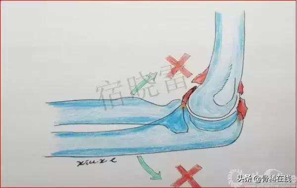 手绘科普类,手绘类科普