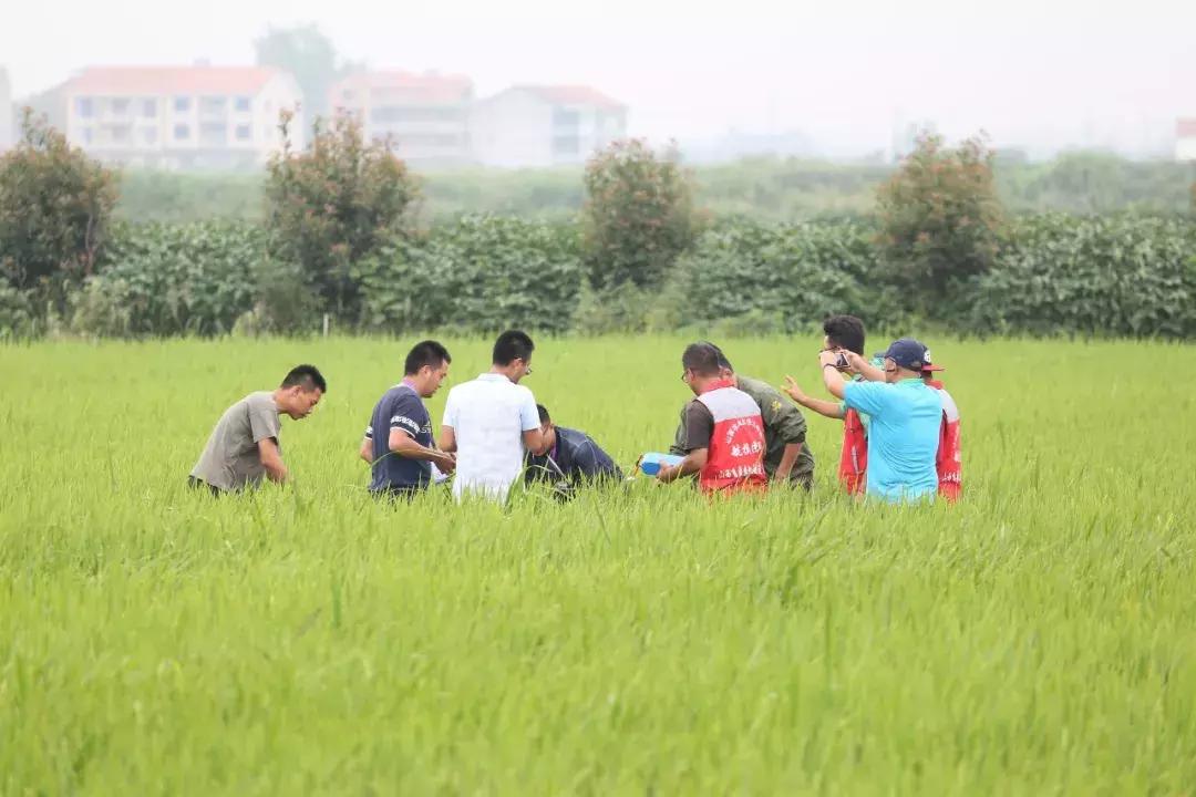 国家四十个农业项目,2021年国家重点扶持这6类农业项目