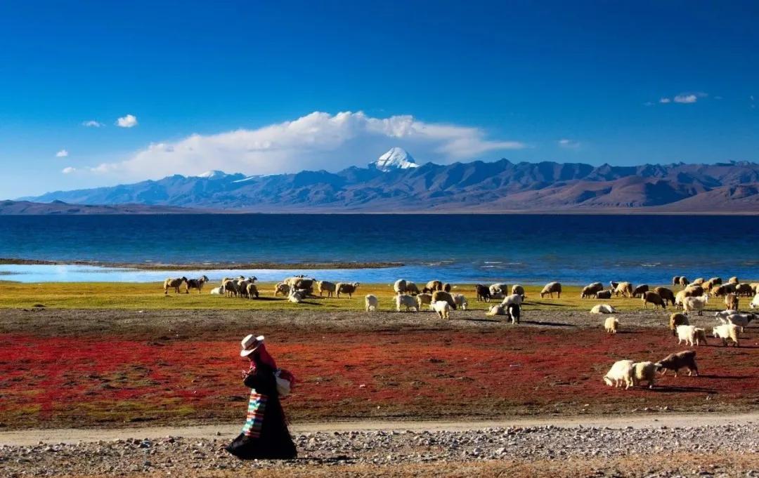 藏在日常生活中的幸福,生活在西藏是不是很幸福