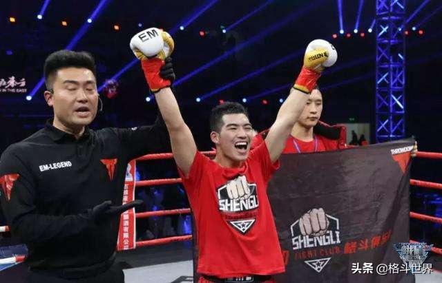 中国世界搏击十大高手排名,中国武林十大高手排名