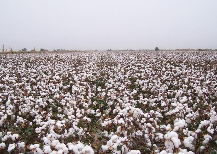 美方诬称中国“非法捕捞”,中方驳斥美认定非法捕捞