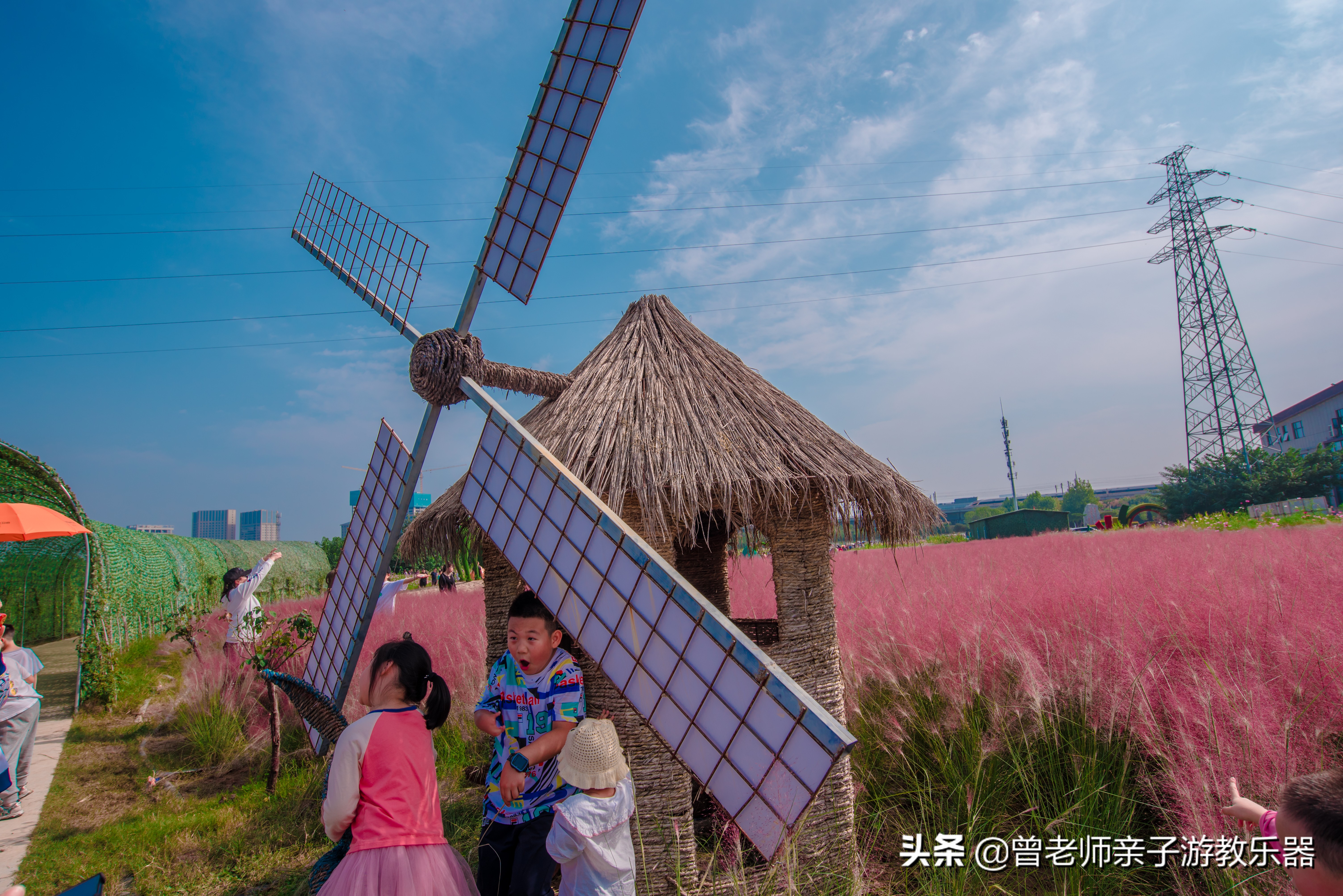 西安菊花节9.9元门票,爱菊菊花节怎么去