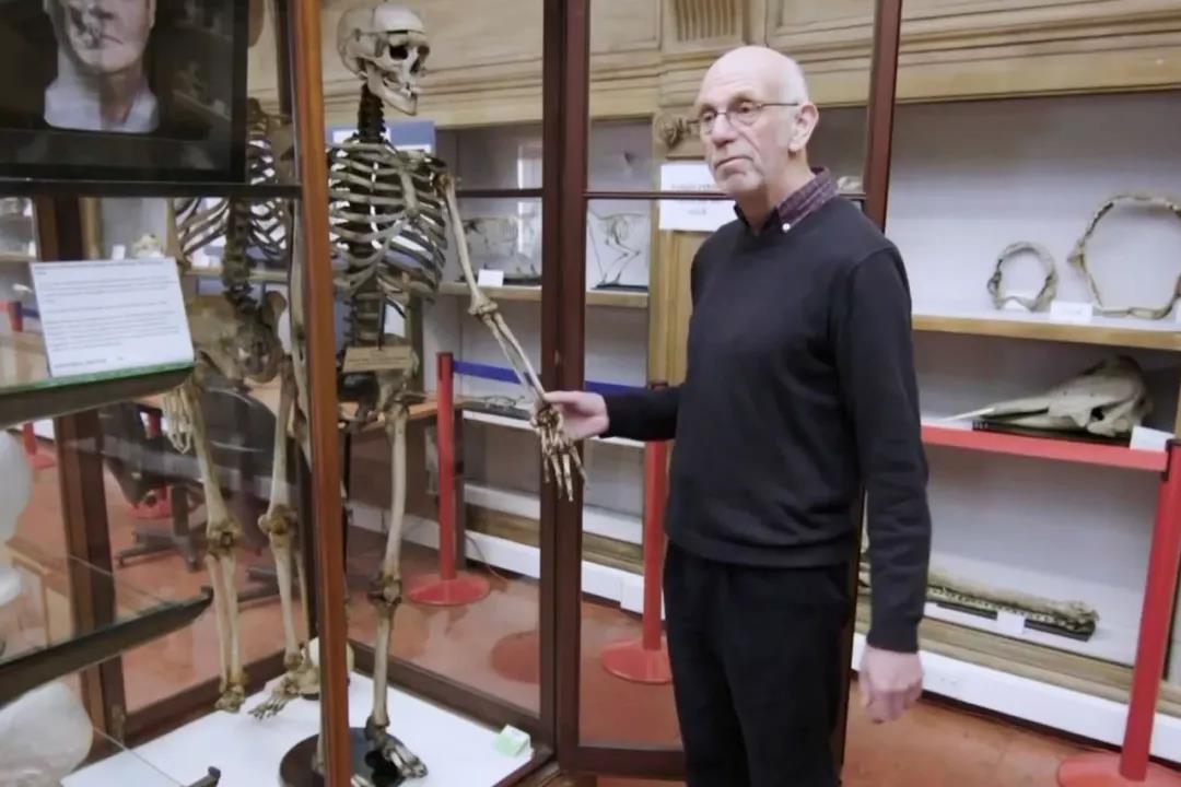 解剖尸体破案电影,解剖尸体破案电视剧