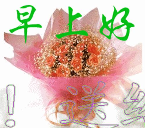 早上好图片带字逗人开心表情包,最新的精美的优雅的早上好表情包