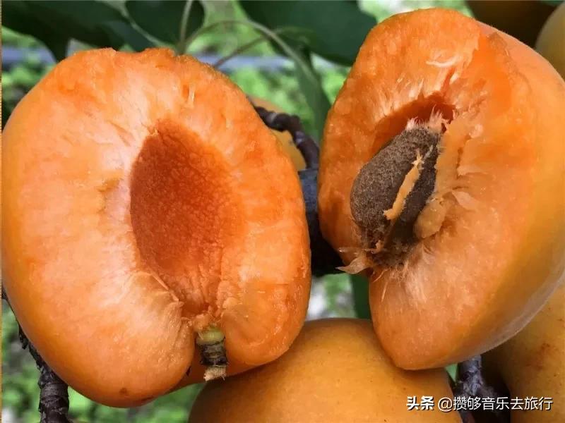 四川阿坝我的家乡,我的家乡汶川特色美景