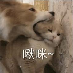 棕色系合集,变身你的可可女孩