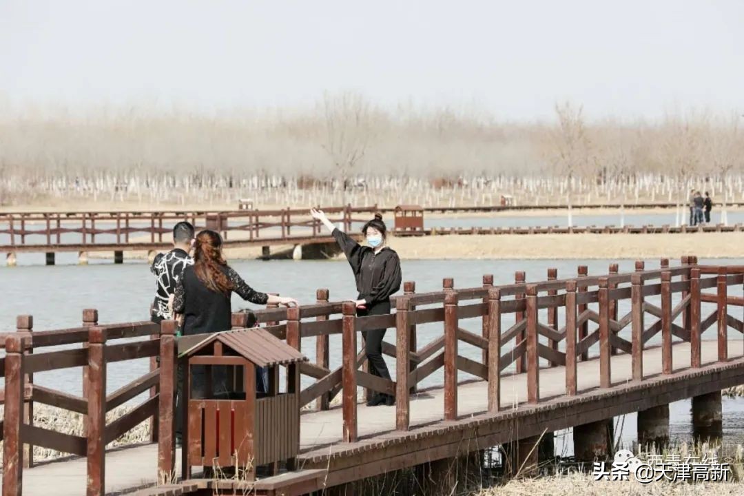 天津即将完工的公园,天津2022年四月开放的公园