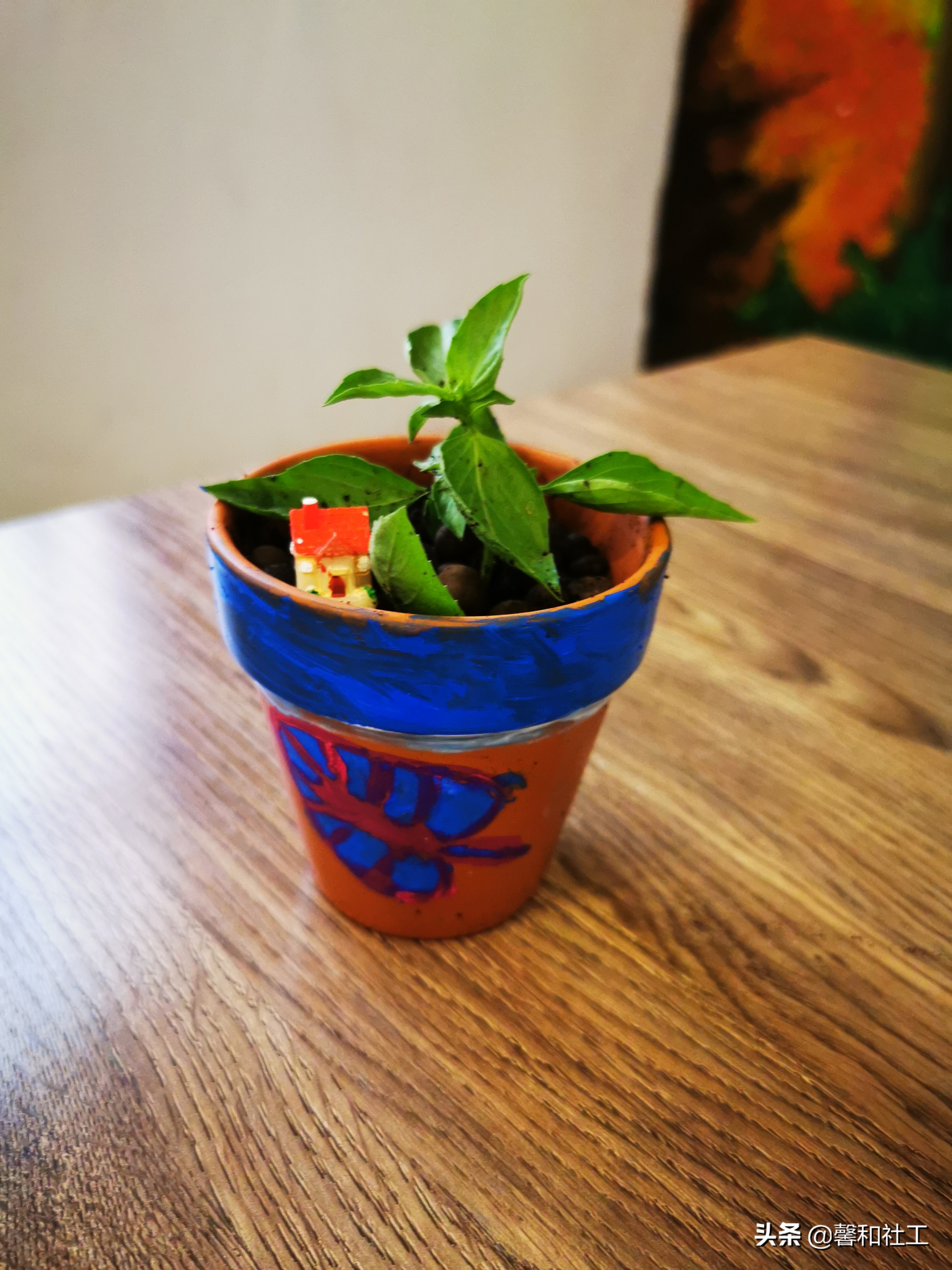 OHTRC精品实操课程||园艺疗法活动设计与评估