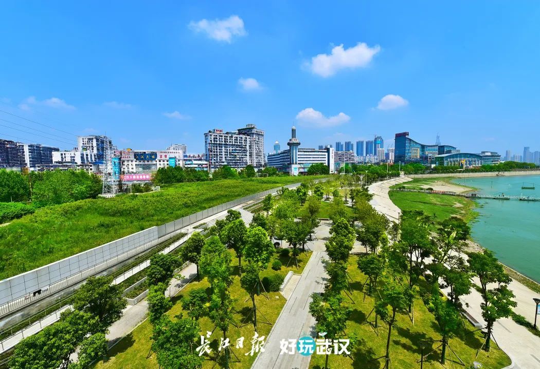 武汉70周年的变化发展,湖北武汉70年荆楚巨变