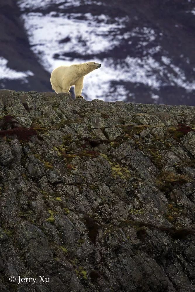 格陵兰的东海岸居然那么绚丽多彩，难怪特朗普想要买下来