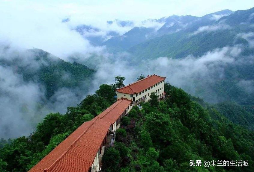 森林养生基地一览表,森林公园养生胜地