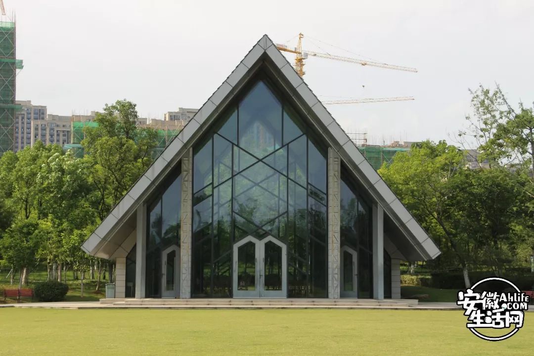 庐阳老城内藏着一处最大的综合性森林公园，人少景美，关键还免费