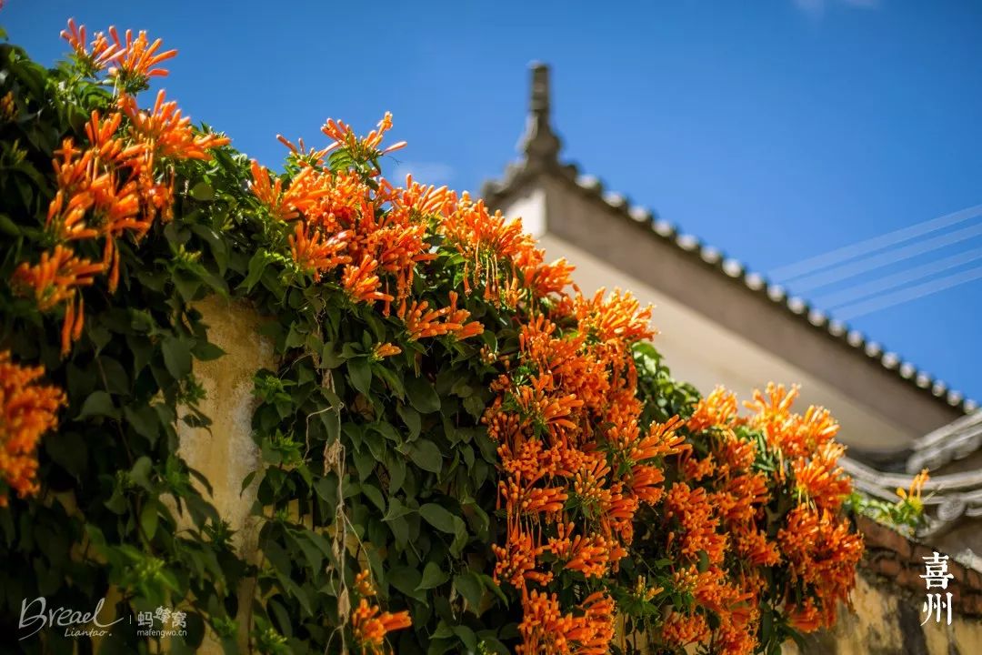 2019年全球必去的52个目的地,2023必去旅游地方排名