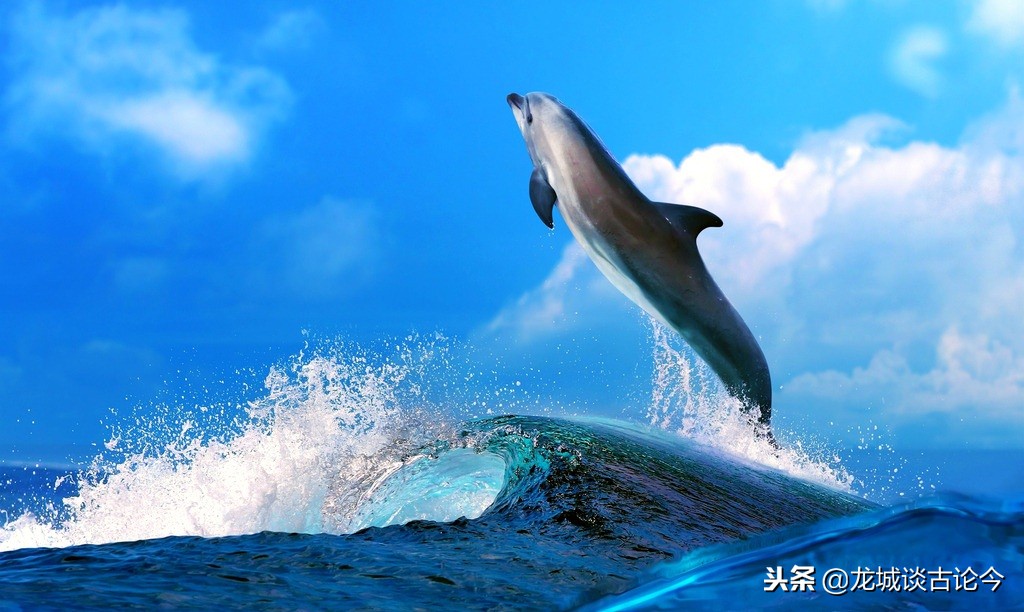 新手股票入门最少入金多少,到熊市怎么选择炒股