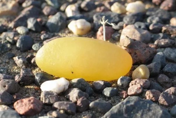 克拉玛依戈壁奇石,德令哈戈壁捡奇石地点