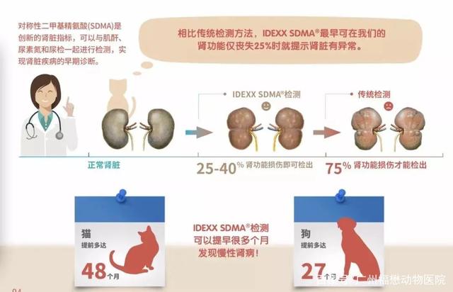 儿童肾病的隐形杀手,毛孩子得什么病