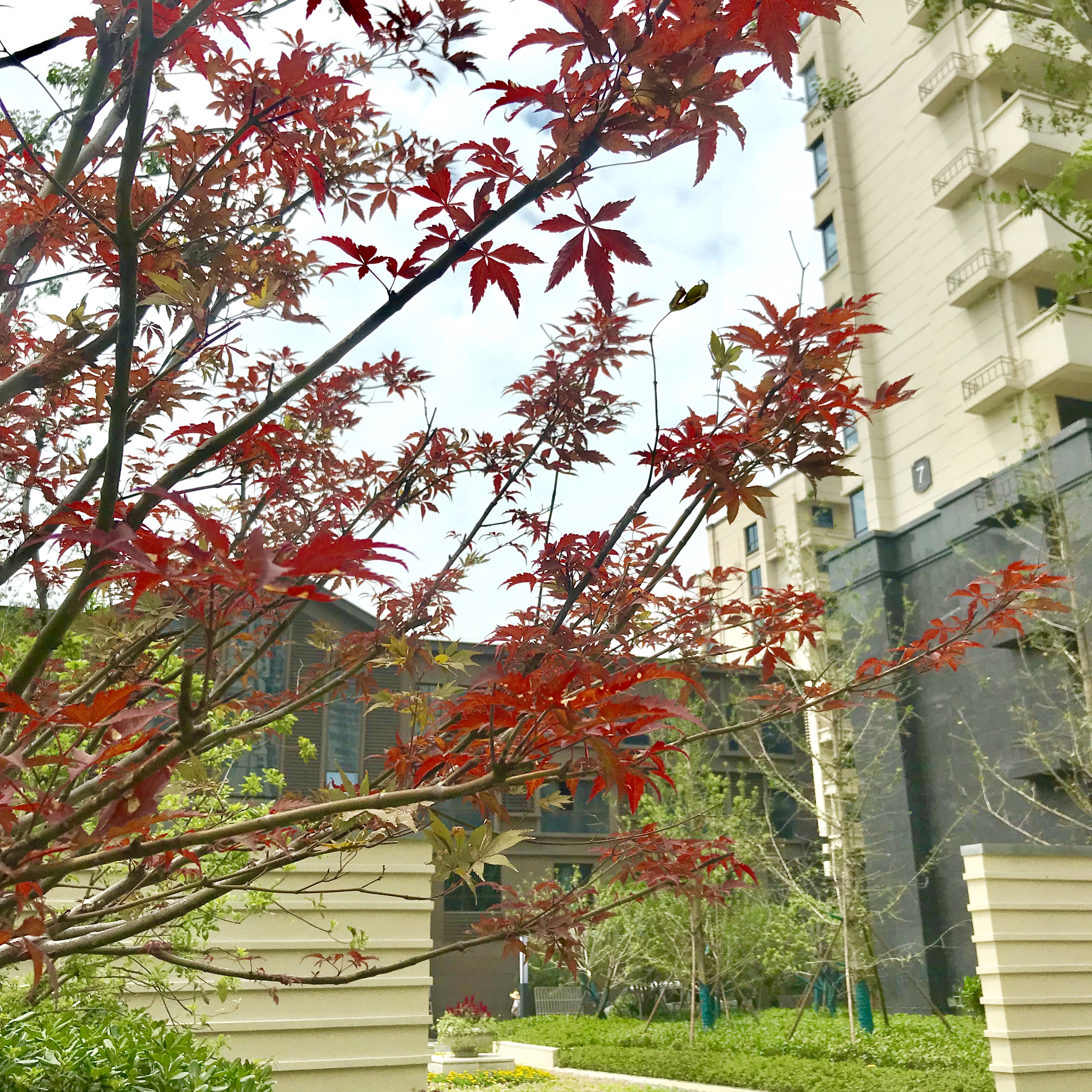 文一地产首个锦门系产品即将迎来交付，锦门学府里带你先睹为快