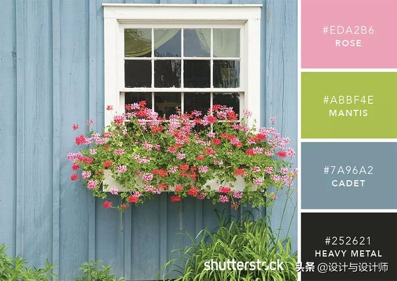 设计色彩总结200字左右,设计配色6种颜色