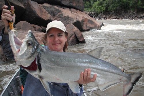 世界上最危险的十种鱼,10种最危险的鱼