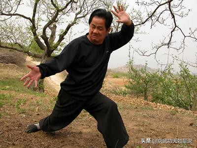 大成拳李荣玉王红宇,李荣玉大成拳教学