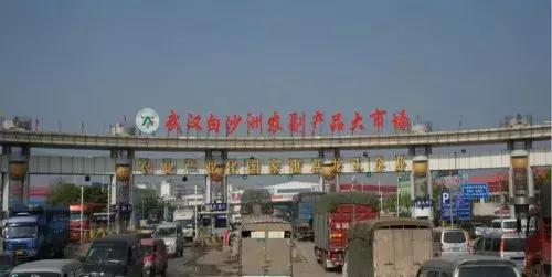 全国蔬菜批发市场十大排名图,全国各地大蔬菜批发市场现状