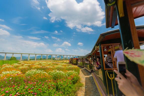 缙云最值得去的地方,缙云大洋山游玩攻略