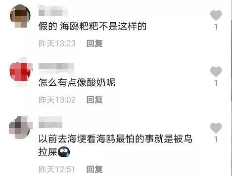 “屎到淋头”？嘴叼面包喂昆明海鸥大家最担心的事情发生了？
