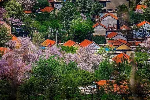 潍坊周边的城市有什么好玩的景点,潍坊周边200公里内游攻略