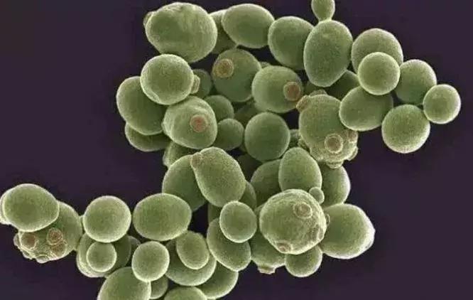 神仙水国外卖多少钱一瓶,全球购的神仙水版本