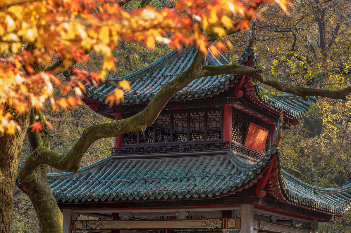 深圳5a景区门票免费,河南省5a景区免门票