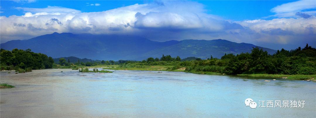 朱虹江西风景独好,朱虹绝代佳人