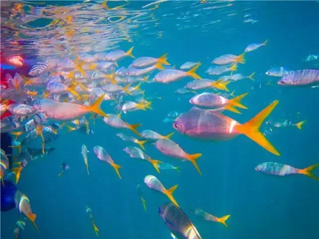 对帕劳之行的感悟,帕劳一场诗和远方的旅行