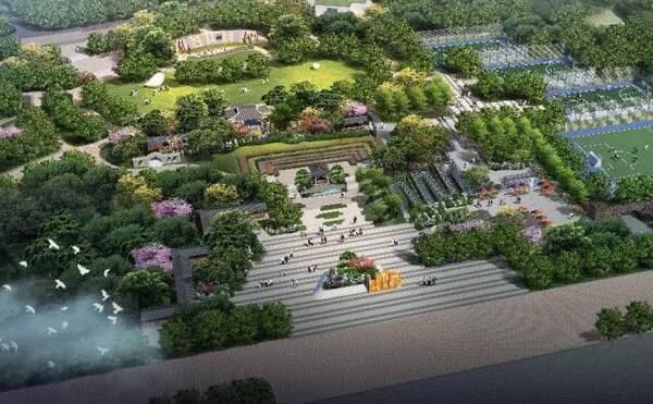 深圳免费公园适合儿童,深圳免费公园哪里最好啊