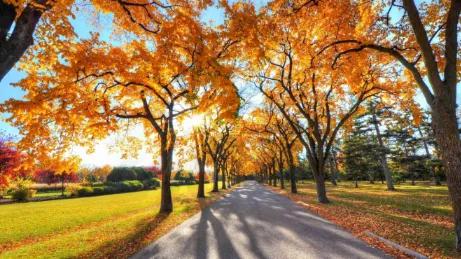 写秋韵的古诗有哪些,学生时代学过描写秋风节气的古诗