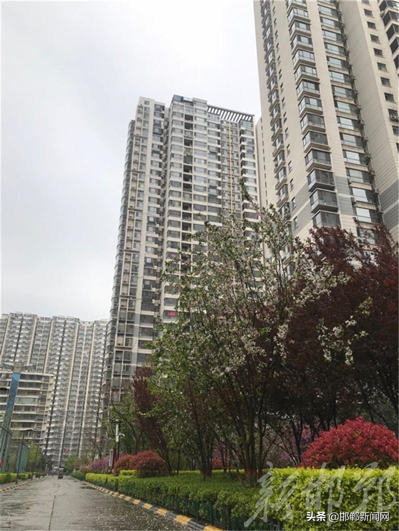 看看你家是不是“最美”！邯郸市“十佳优秀小区”评选活动启帷