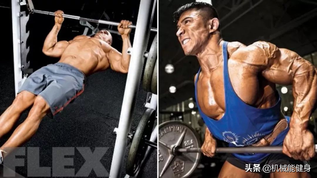 健身美背小背心一体式推荐,在健身房想练腿练哪些