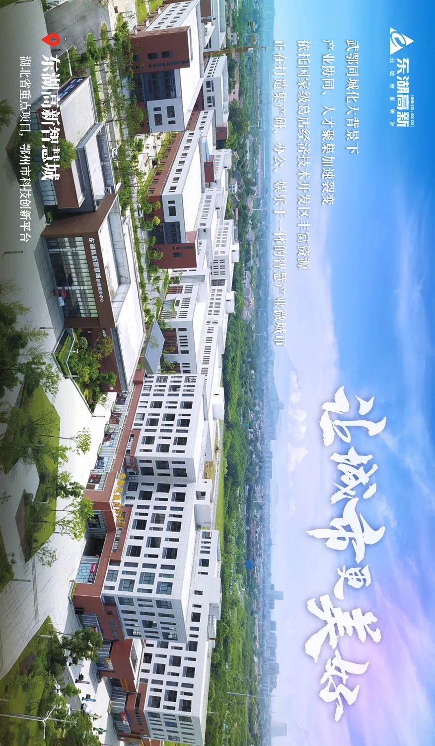 东湖高新集团的发展历程,图鉴图鉴