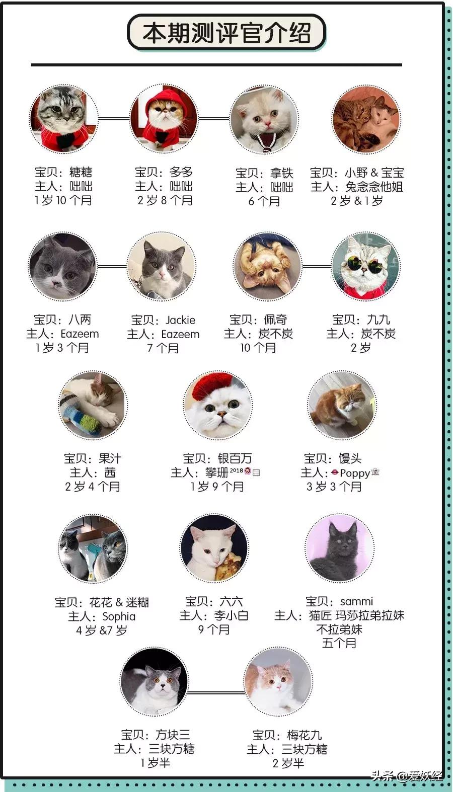 lorde全价猫粮,lorde猫粮值不值得购买