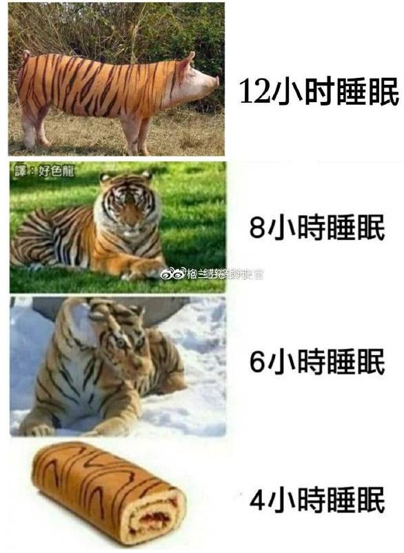 来自外卖小哥的霸道段子,关于外卖小哥的挺火的段子