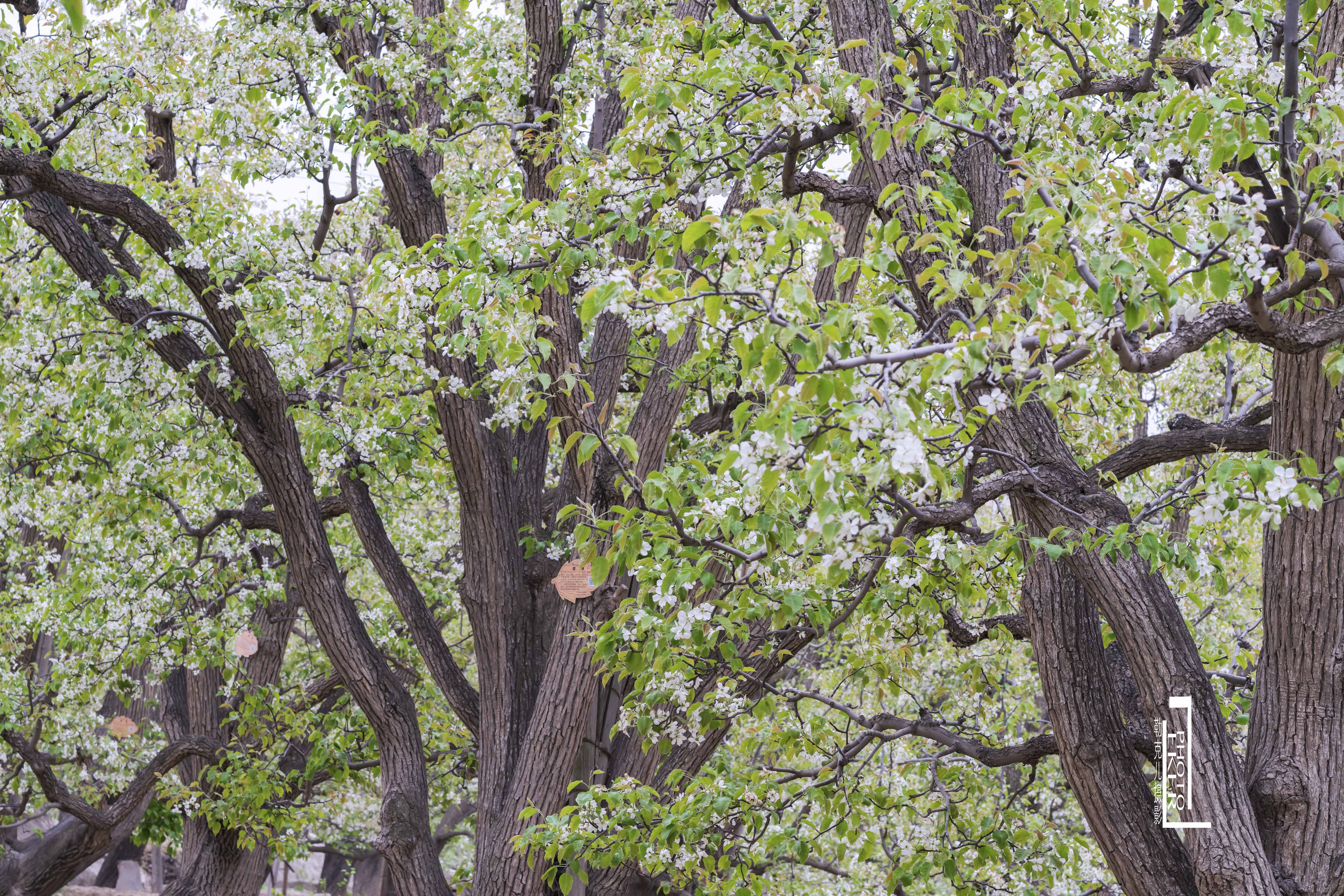 大西北戈壁滩怎么形成的,我国西北地区大戈壁滩形成原因